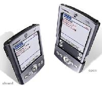 Palm Tungsten /P80850US/